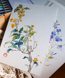 Bulk Watercolor Paper 100% Cotton - Funto