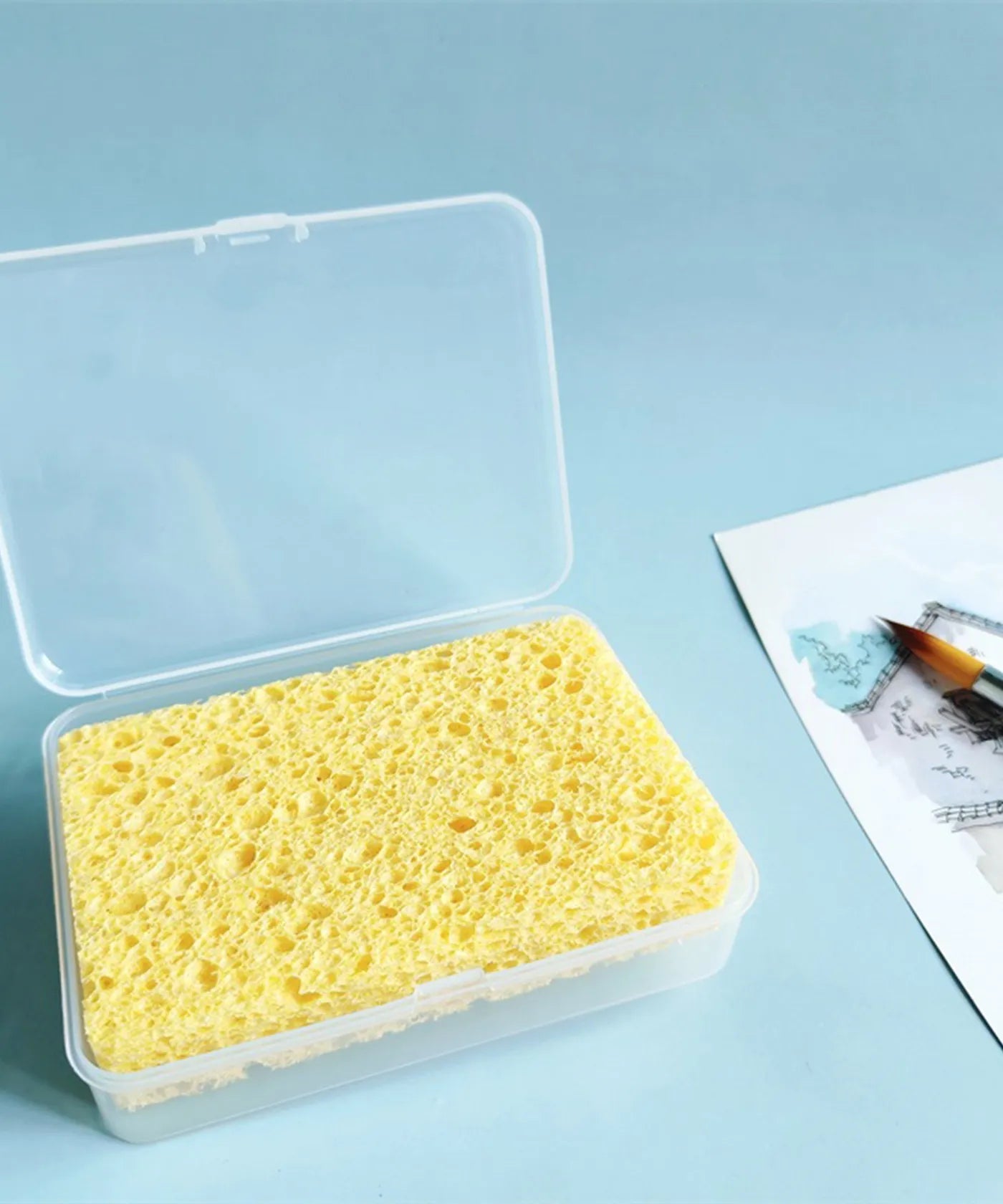 Brush Cleaning Sponge