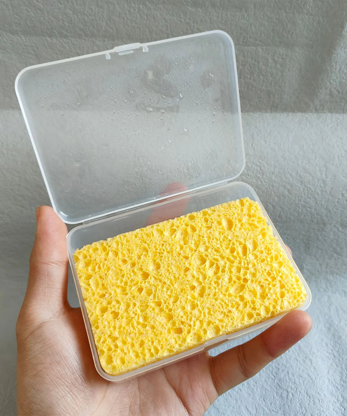 Brush Cleaning Sponge