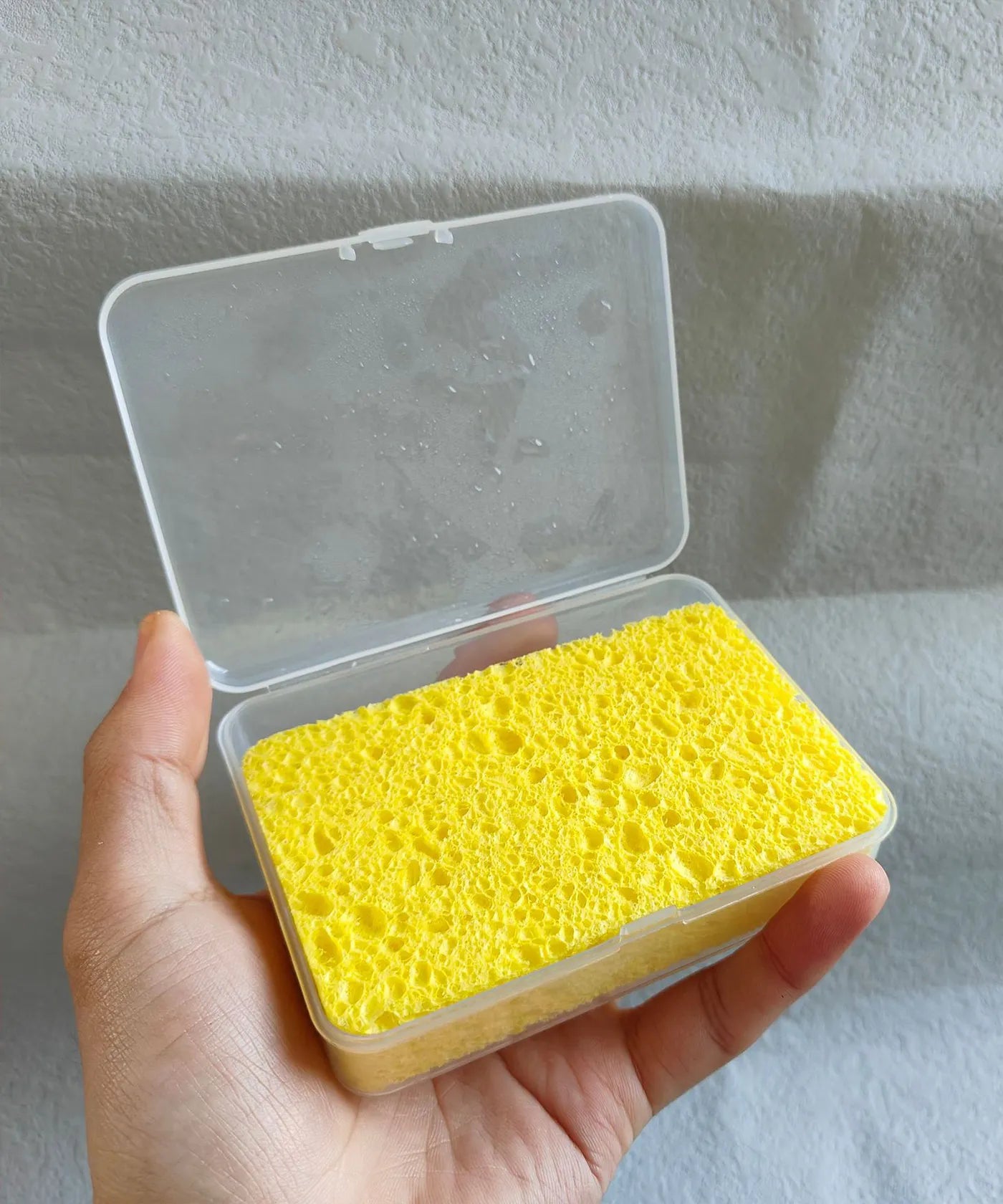 Brush Cleaning Sponge